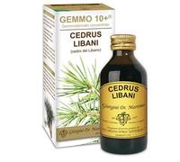 Dr Giorgini Integratore Alimentare, Cedro del Libano Gemmoderivato Concentrato Liquido Analcoolico - 100 ml