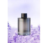 Ceeniu Ricarica Profumo Dedicata CF3-135 ml - Utilizzabile per 4-8 mesi - Realizzata con Estratti Naturali di Piante - Profumo Importato dalla Francia - Estate a Roma