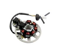 CEESuEB Bobina Magneto-statore for Scooter Compatibile con Keeway 50 Arn Easy F-Act 50 CTN KD Naked 50 Racing SP Flash 50 Lash Goccia 50 CC 2 Tempi