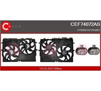 Motore ventola radiatore per guida a Sx/Dx CEF74072AS CASCO per FIAT PEUGEOT