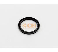 CEI 139.851 Paraolio, Cambio manuale