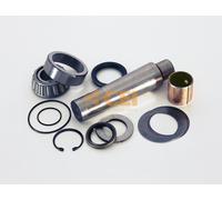 CEI 230.005 Kit riparazione, Perno fuso a snodo