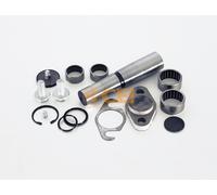 CEI 230.016 Kit riparazione, Perno fuso a snodo