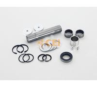 CEI 230.035 Kit riparazione, Perno fuso a snodo