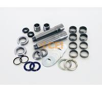 CEI 230.061 Kit riparazione, Perno fuso a snodo