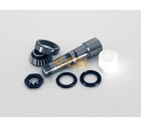 CEI 230.077 Kit riparazione, Perno fuso a snodo