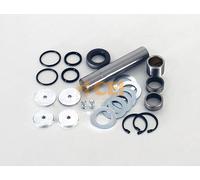 CEI 230.100 Kit riparazione, Perno fuso a snodo
