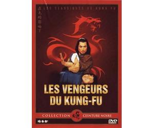 Ceinture noire, vol. 15 : les vengeurs du kung fu