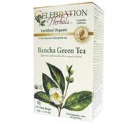 Celebration Herbals, Organico Bancha Verde Tè, 24 Sacchetti