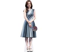 Celebrity Cutouts Moon Chae Won (Dress) Mini Formato