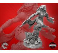 Celeste Kämpferin Miniatura Valchiria Schermo Figura per RPG Come D&D5e Front