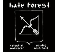 Celestial Wanderer / Sowing With Salt
