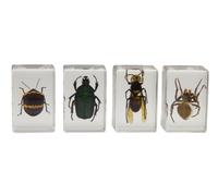Celestron 44407-cgl 3D Specimen kit # 1, multicolore