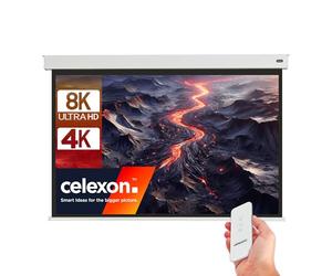 celexon Batterie Leinwand V2.0 Motor Professional Plus 220 x 165 cm