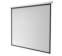 Celexon Schermo manuale Economy 300 x 300 cm (167")