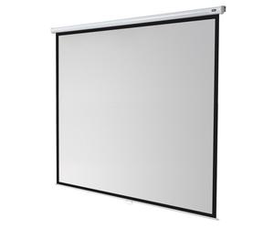 Celexon Canvas Roller Blind Economy 300 x 300 cm