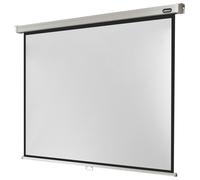 Celexon Schermo manuale Professional 280 x 210 cm (138")