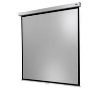 celexon Canvas Roller Blind Professional Plus 200 x 200 cm