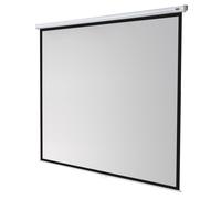 Celexon Economy Schermo per proiezione manuale Murale 300x300cm