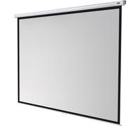 Celexon Economy Schermo per proiezione murale manuale 280x210 cm