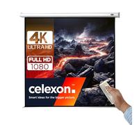 celexon schermo motorizzato Economy 120 x 120 cm
