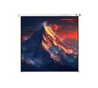 celexon schermo manuale Economy 220 x 220 cm - 122"