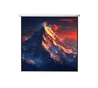 celexon schermo manuale Economy 300 x 300 cm - 167"