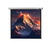 celexon schermo manuale Professional 120 x 120 cm - 67"