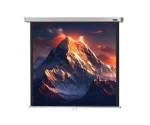 celexon schermo manuale Professional 180 x 180 cm - 100"