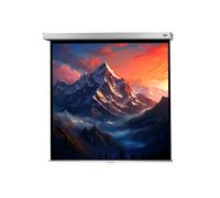 celexon schermo manuale Professional Plus 200 x 200 cm - 111"