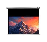 celexon schermo manuale Professional Plus 240 x 135 cm - 108"