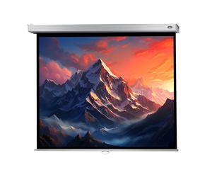 celexon schermo manuale Professional Plus 280 x 210 cm - 138"