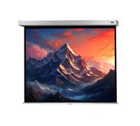 celexon schermo manuale Professional Plus 300 x 225 cm - 148"