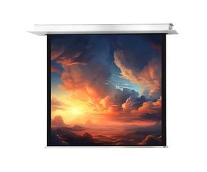 celexon schermo motorizzato Professional Plus da incasso 200 x 200 cm