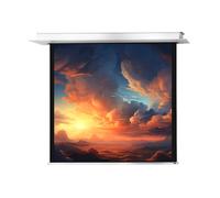 celexon schermo motorizzato Professional Plus da incasso 240 x 240 cm