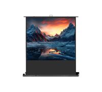 celexon Schermo per proiettore Mobile Professional Plus 220 x 125 cm - 100"