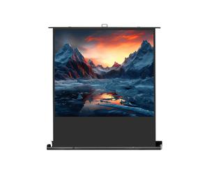 celexon Schermo per proiettore Mobile Professional Plus 220 x 125 cm - 100"