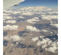 Celia Hollander 2nd Draft (Vinyl LP)