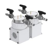 Cella elettrolitica con finestra al quarzo a membrana sostituibile di tipo H a doppia cella in PTFE avanzato con valvole di ingresso e uscita, 1 pz.(250ml-250ml)