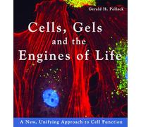 Gerald H. Pollack Cells, Gels and the Engines of Life (Tascabile)