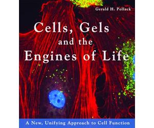 Cells, Gels and the Engines of Life: A New, Unifying Approach to Cell Function