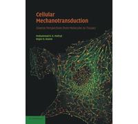 Cellular Mechanotransduction: Diverse Perspectives from Molecules to Tissues