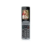 CELLULARE BRONDI AMICO SINCERO