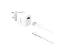 Celly TCUSBTYPEC Caricatore (universale)
