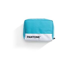 Celly, Travel Bag Linea Pantone, Organizer da Viaggio 12.5 x 15 x 5 cm, Ideale per Bagaglio a Mano, per Contenere Smartphone e Accessori in Viaggio, Emerald Lake