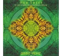 Celtic Vedic