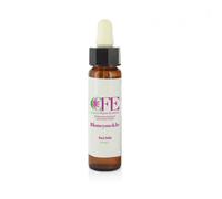 CEMON Srl HONEYSUCKLE CEMON FLOWER ESSENCES STOCK BOTTLE 10 ML