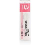 cemon Thuya occident 35k gr und