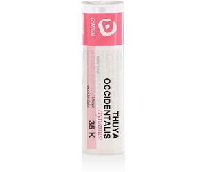 cemon Thuya occident 35k gr und