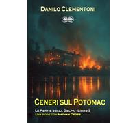 Ceneri Sul Potomac: Le Forme Della Colpa
